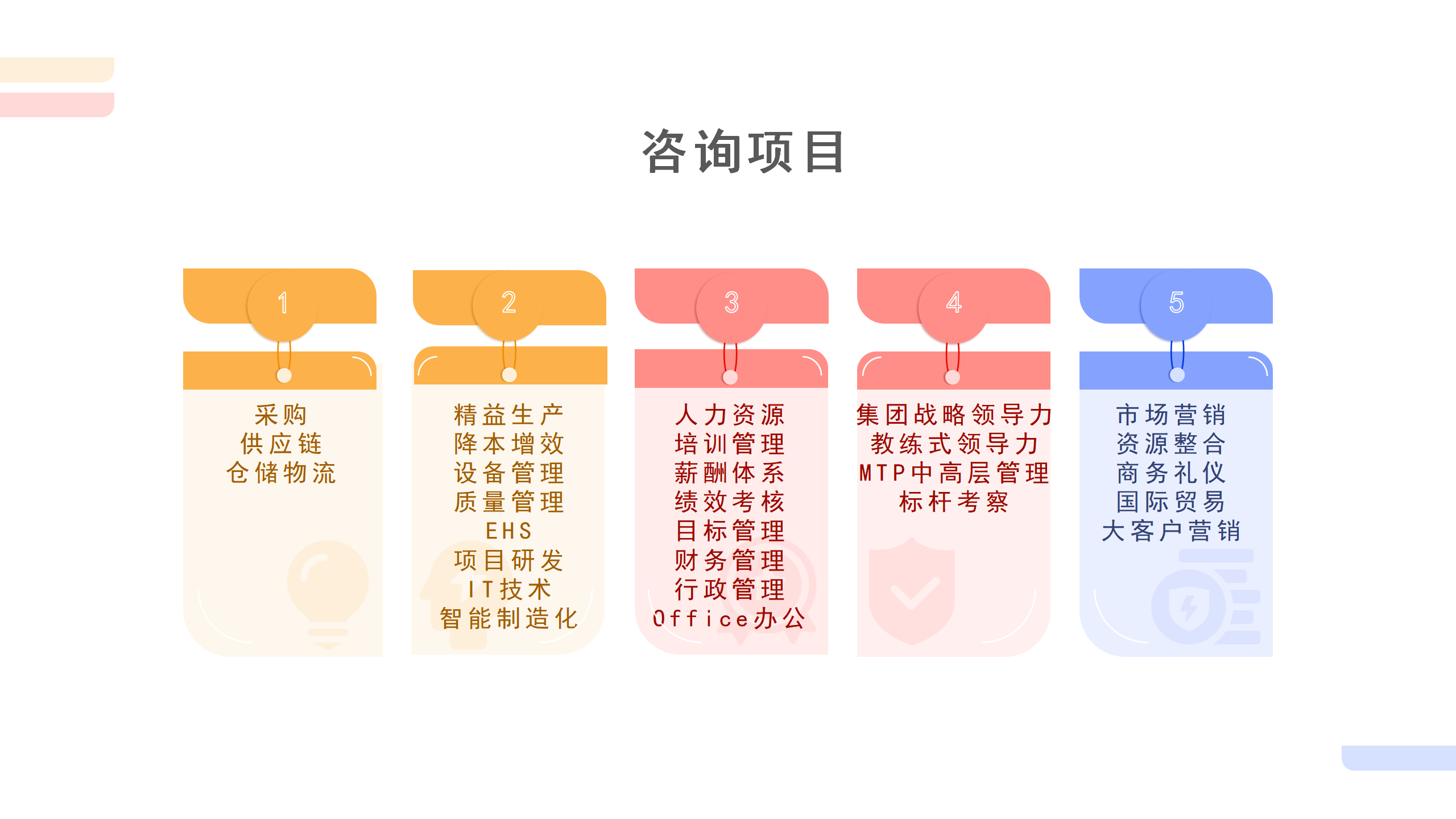 咨詢項(xiàng)目
